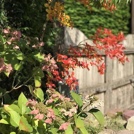 Le Petit Pressoir Bed & Breakfast Saint-Gatien-des-Bois